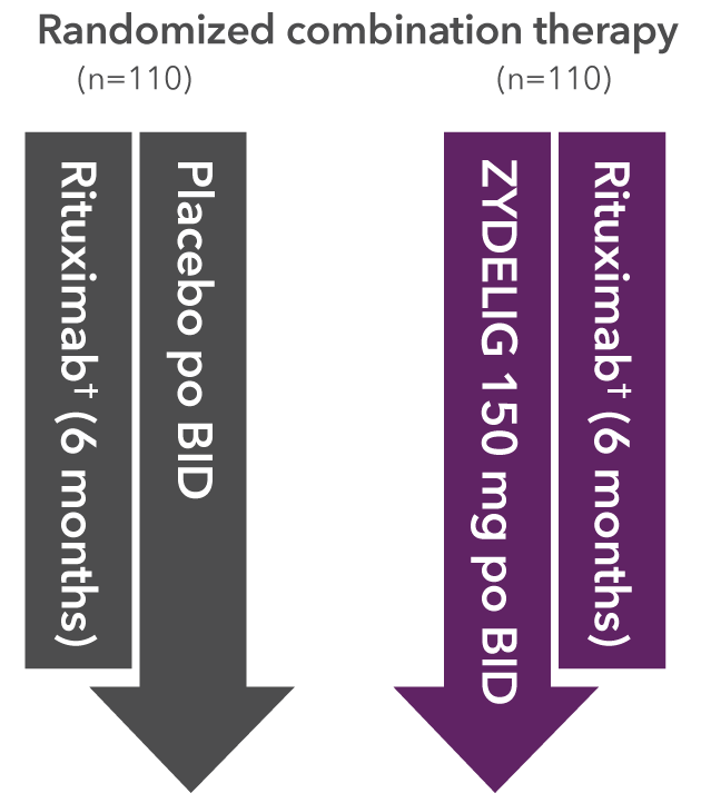 Study design for a randomized, double-blind placebo-controlled phase 3 trial.