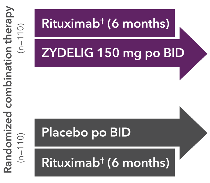 Study design for a randomized, double-blind placebo-controlled phase 3 trial.